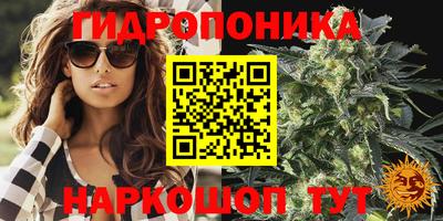 стафф Мариинск