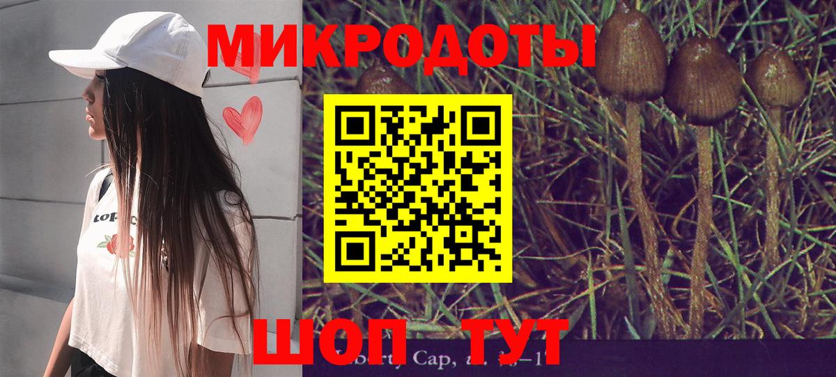 Ивантеевка  Псилоцибиновые грибы мицелий  Вход с VPN 